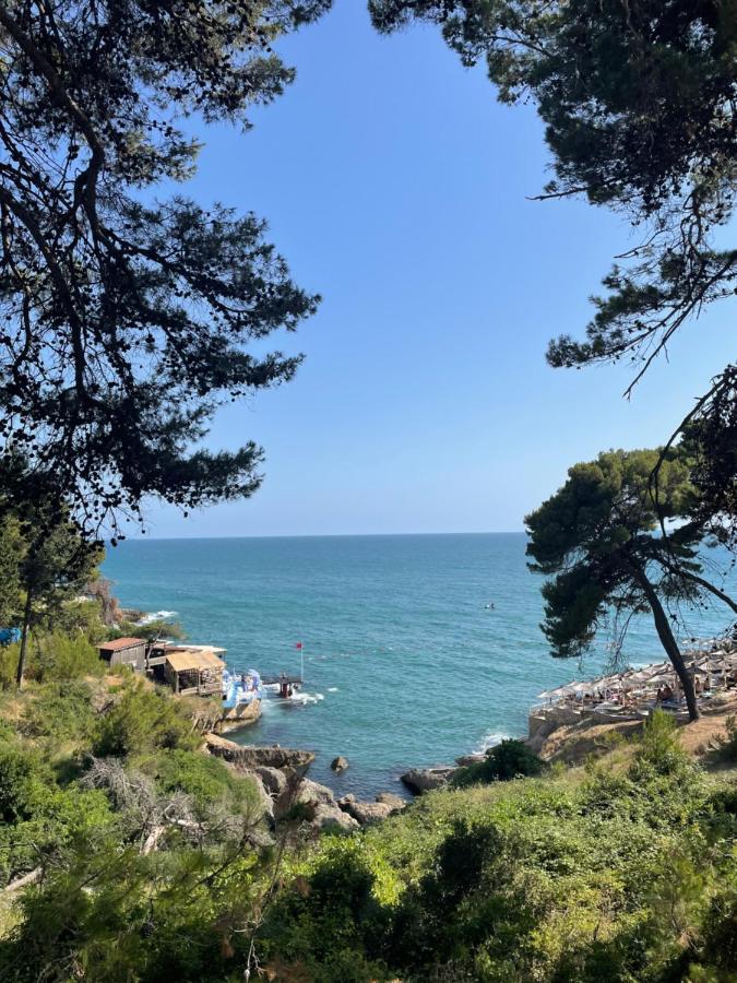 Villa Dafina Donji Stoj Εξωτερικό φωτογραφία